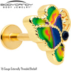 16G 5/16 Gold Tone Butterfly Colors Labret Monroe Tragus