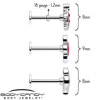 16G 5/16 Ladybug Hippie Flower Labret Monroe Tragus Set of 3