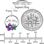 16G 3/8 Clear CZ Gem Flower Purple Hinged Segment Ring