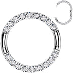 16G Implant Grade Titanium CZ Double Row Hoop Segment Ring