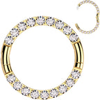 16G Implant Grade Titanium CZ Double Row Hoop Segment Ring