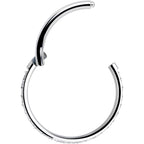 18G 3/8 Clear CZ Gem Titanium Forward Facing Hinged Segment Ring
