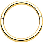 20G Implant Grade Titanium Half Closure Hinged Segment Ring