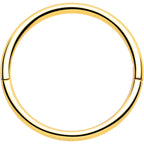 20G Implant Grade Titanium Half Closure Hinged Segment Ring