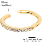 14k Solid Yellow Gold Hinged Segment Ring Forward Facing CZ 18G 5/16