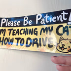 I'm Teaching My Cat How to Drive ~ Bumper Sticker