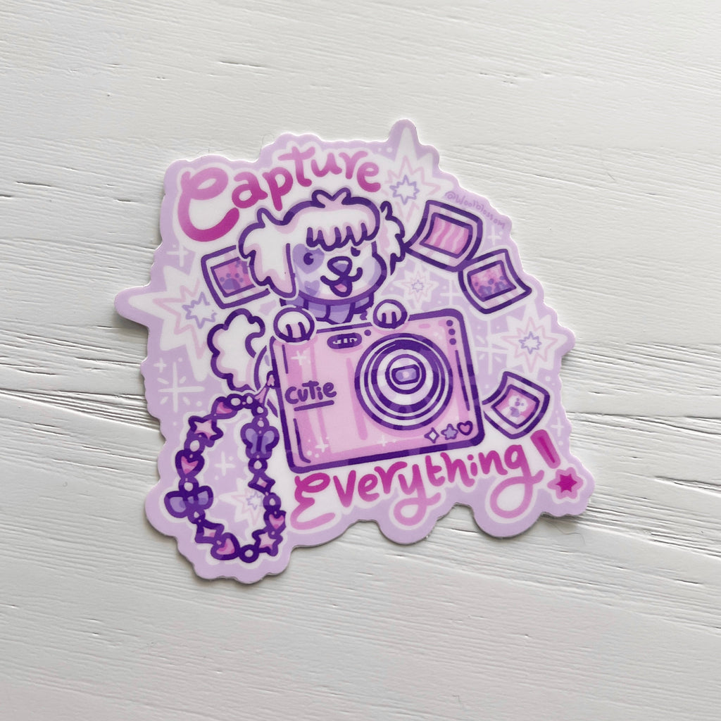 Capture Everything! ~ Sticker