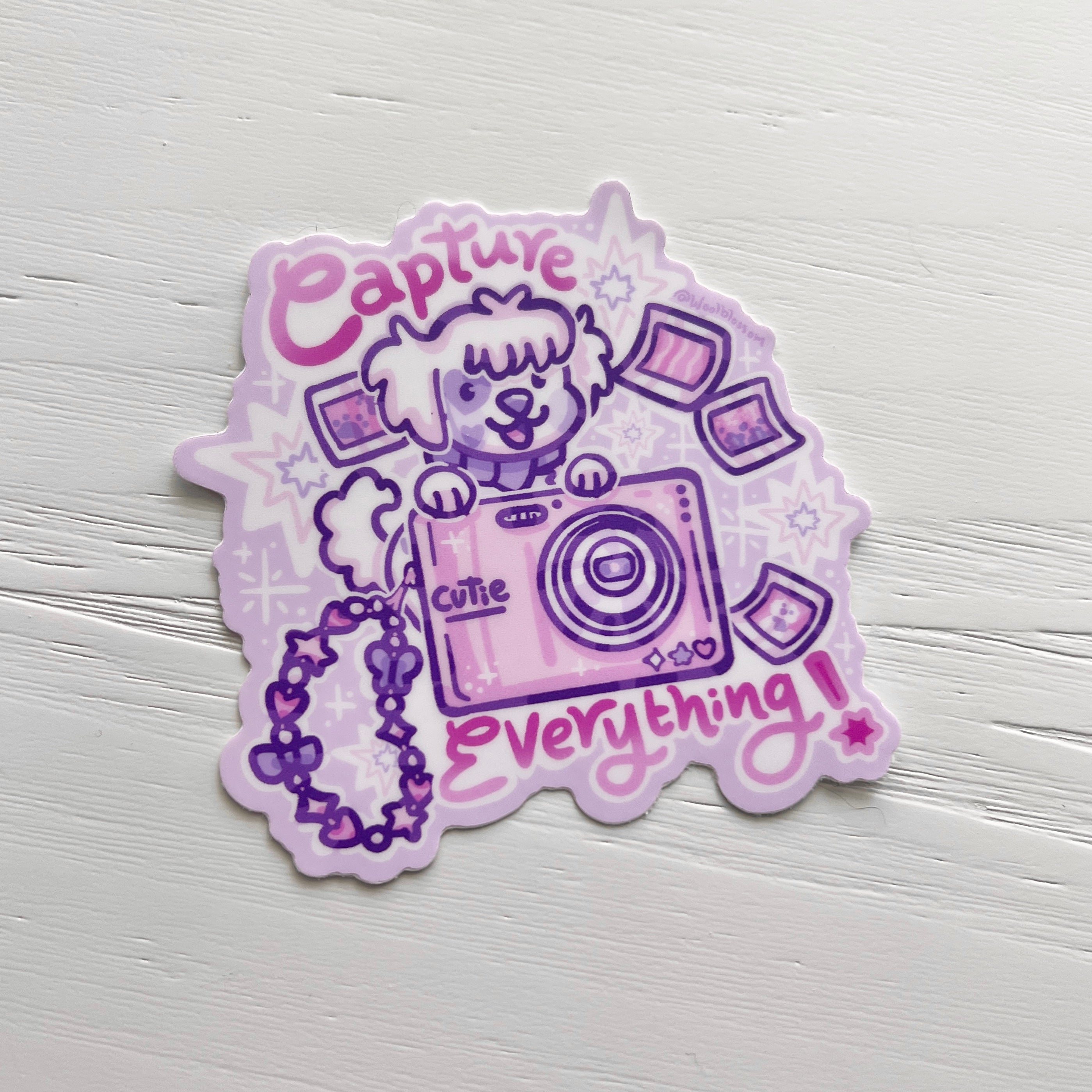 Capture Everything! ~ Sticker