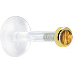 16G 1/4 Solid 14K Yellow Gold 2mm Genuine Tiger Eye Bioplast Tragus Earring Stud