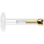 Solid 14K Yellow Gold September 1.5mm CZ Bioplast Push in Labret Monroe