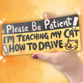 I'm Teaching My Cat How to Drive ~ Bumper Sticker