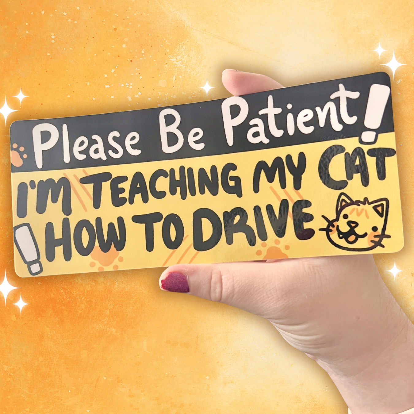 I'm Teaching My Cat How to Drive ~ Bumper Sticker