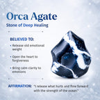 Exotic Orca Agate Bracelet of Deep Healing