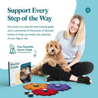 Get Started Kit Fire