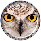 Full Color Owl Barbell Tongue Ring