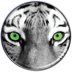 16G 1/4 Black White Tiger Eyes Tragus Cartilage Earring